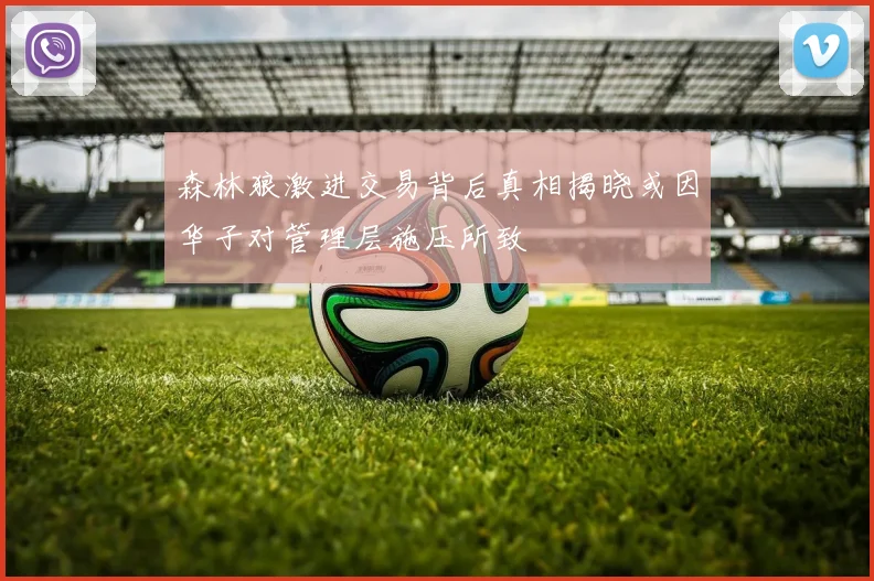 森林狼激进交易背后真相揭晓或因华子对管理层施压所致